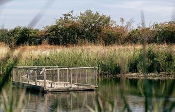 Women’s Nature Wellbeing Club takes place on selected dates every month at Greenwich Peninsula Ecology Park
