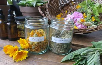 Learn about the connections between women, plants and health through history and create your own aromatic spray with essential oils