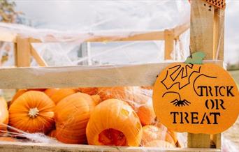 An afternoon of family-friendly Halloween fun at The Jetty.