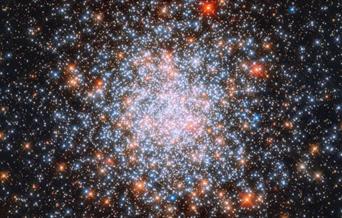 The Morning Stars planetarium shows are designed for anyone who would benefit from a calmer and more relaxed environment, in particular those with aut