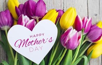 Enjoy special mothers day afternoon tea with flowers for mum, served in the Regency Suite, The Clarendon Hotel