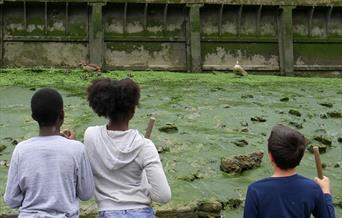 Find out all about the skills needed to survive being washed ashore in Deptford Creek.