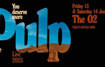 Pulp