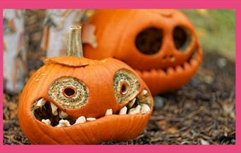 Come along to Woolwich Works and create the ultimate haunted house decoration for the spooky season!