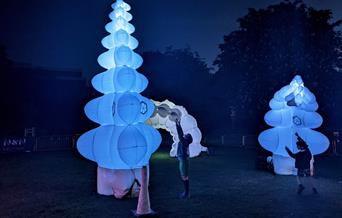 © Emma Powell - Unfurl is a beautiful installation that celebrates the wonder and intelligence of nature's designs