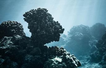 Sea Stories – Live from 2050 is an immersive audio adventure at the National Maritime Museum, created to mark World Oceans Day on 8th June.
