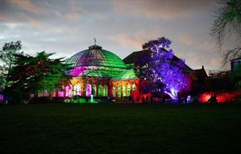 A spectacular light trail with fairground rides, activities, live performances and delicious food to add on to your Christmas festivities.