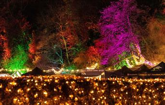 Sparkle in the Park is back for a fourth year this Christmas