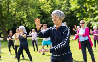 Tai Chi in the Park