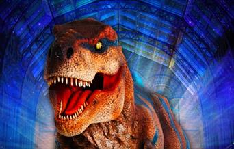 Get up close and personal with life-like dinosaurs and let Teach Rex take you on an immersive, prehistoric journey into the anatomy of the most amazin