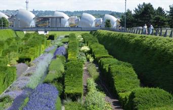 Looking across the park's sunken garden towards the Thames Barrier.