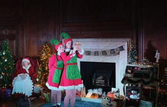 Join Santa’s Elves as they stumble upon a bag of untouched Christmas letters a few days before the grand celebration
