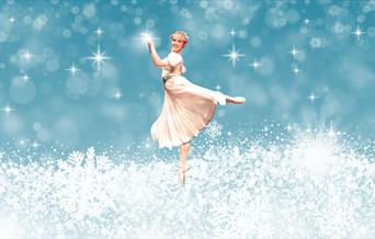 A perfect Christmas show for the whole family!