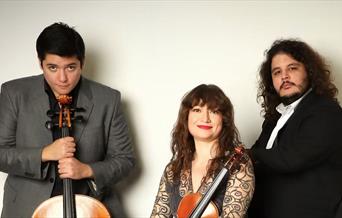 Lunchtime Recital: Waldstein Trio
