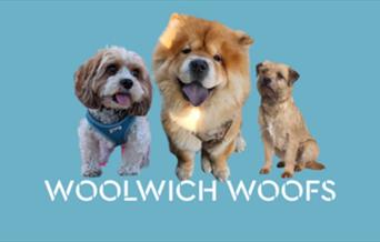 Woolwich Woofs is back this summer, bringing audiences of all ages the most playful dog show in town