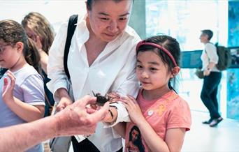 A family-friendly celebration of our ocean hosted at the National Maritime Museum, Greenwich