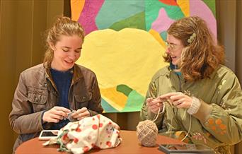 World Wide Knit in Public Day is 20 years old in 2025!