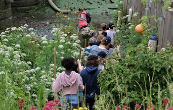 Explore your local wildlife with a FREE guided walk from a  conservationist.