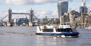 Blue and white City Cruises boat on the River Thames