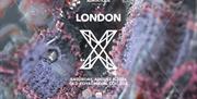 Adriatique present X on the Thames