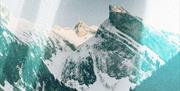 Blue Earth Summit and Kendal Mountain Festival join forces to host the Blue Earth Film Fest, a celebration of adventure, nature, and the powerful role
