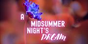 A Midsummer Night's Dream - an outdoor Family friendly production!