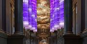 Identity will feature eight 25 meter illuminated columns suspended within the Painted Hall, evoking DNA structures
