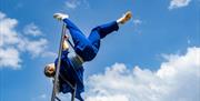 Do Birds Dream Of Flying? - Award-winning circus performance opening up new perspectives on the world around us