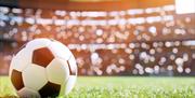 Watch FIFA World Cup at The Admiral Hardy!