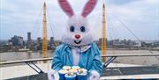 An Easter experience like no other, climbers will get to decorate and eat delicious cupcakes whilst soaking in breath-taking 360-degree views
