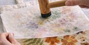 Beginner-friendly eco printing class in London using natural materials and seasonal botanicals