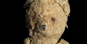 Discover a wide range of toys and their unique stories