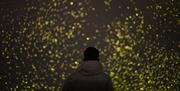 © Studio Roosegaarde - An organic fireworks illuminate Greenwich in this sustainable celebration and spectacular UK Premiere