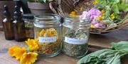 Learn about the connections between women, plants and health through history and create your own aromatic spray with essential oils