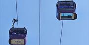 Watch the city unfold beneath you, with the IFS Cloud Cable Car’s breath-taking new Glass Floor Experience.