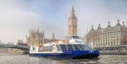Blue and white City Cruises boat on the River Thames in front of Big Ben