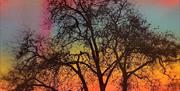 Come along to the Greenwich Peninsula Meditation Group Session led by seasoned practitioner Cara Stimson and hosted by Firepit Art Gallery