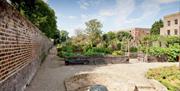 Join The Royal Parks' volunteers for activities during the day in this historic location.
