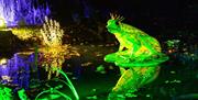 Sparkle in the Park, Charlton House and Gardens
