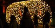 Sparkle in the Park, Charlton House and Gardens