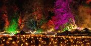 Sparkle in the Park is back for a fourth year this Christmas