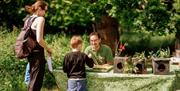 FREE drop-in activities perfect for families, nature-lovers and budding environmentalists!
