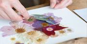 A relaxed riverside sip & create pressed flower workshop at The Oystercatcher by the Thames