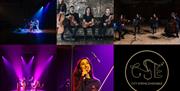 A night of Taylor Swift's greatest hits as stunning arrangements by City String Ensemble