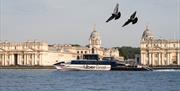 Pigeons and Uber Boat by Thames Clippers in front of Old Royal Naval College, Greenwich