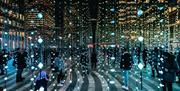 Submergence by Squidsoup (UK), Montgomery Square