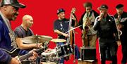 The Effra Band -  Jamaica Jazz at its very finest with these supreme musicians who have played with legends: Fela Kuti, The Specials, Jools Holland, P
