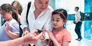A family-friendly celebration of our ocean hosted at the National Maritime Museum, Greenwich