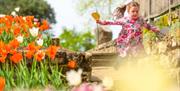 Discover a day of shopping, creativity, and heritage at the Autumn Fair on Saturday 12th September