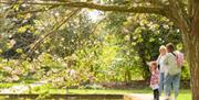 Discover a day of shopping, creativity, and heritage at the Autumn Fair on Saturday 12th September
